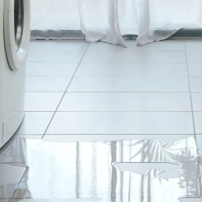 Appliance Leak Cleanup in Delhi, LA