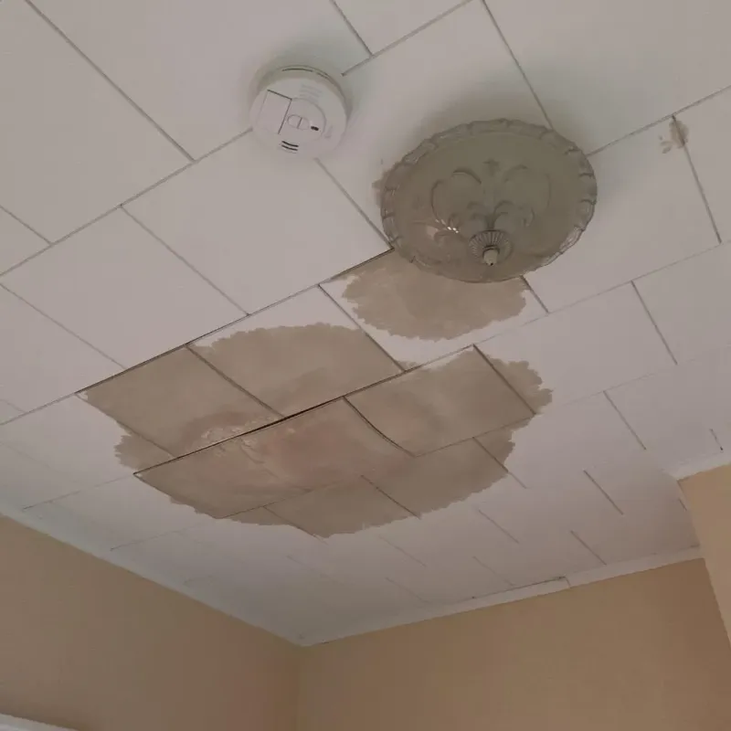 Ceiling Water Damage Repair in Delhi, LA